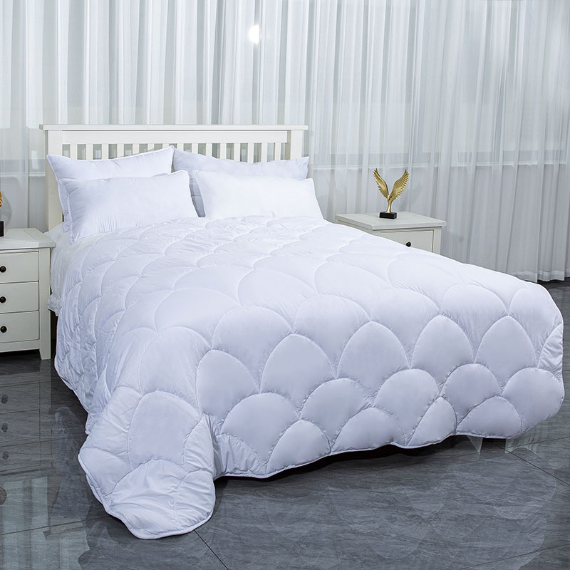 Duo-in-unus Sulla HF2409-004